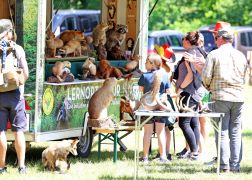 Familienwandertag 2024 In Jena 12